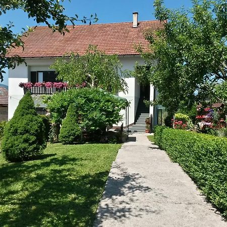 Guesthouse Pavlicic Dreznik Grad Екстер'єр фото