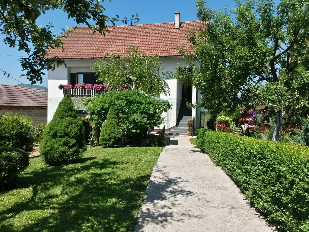 Guesthouse Pavlicic Dreznik Grad Екстер'єр фото
