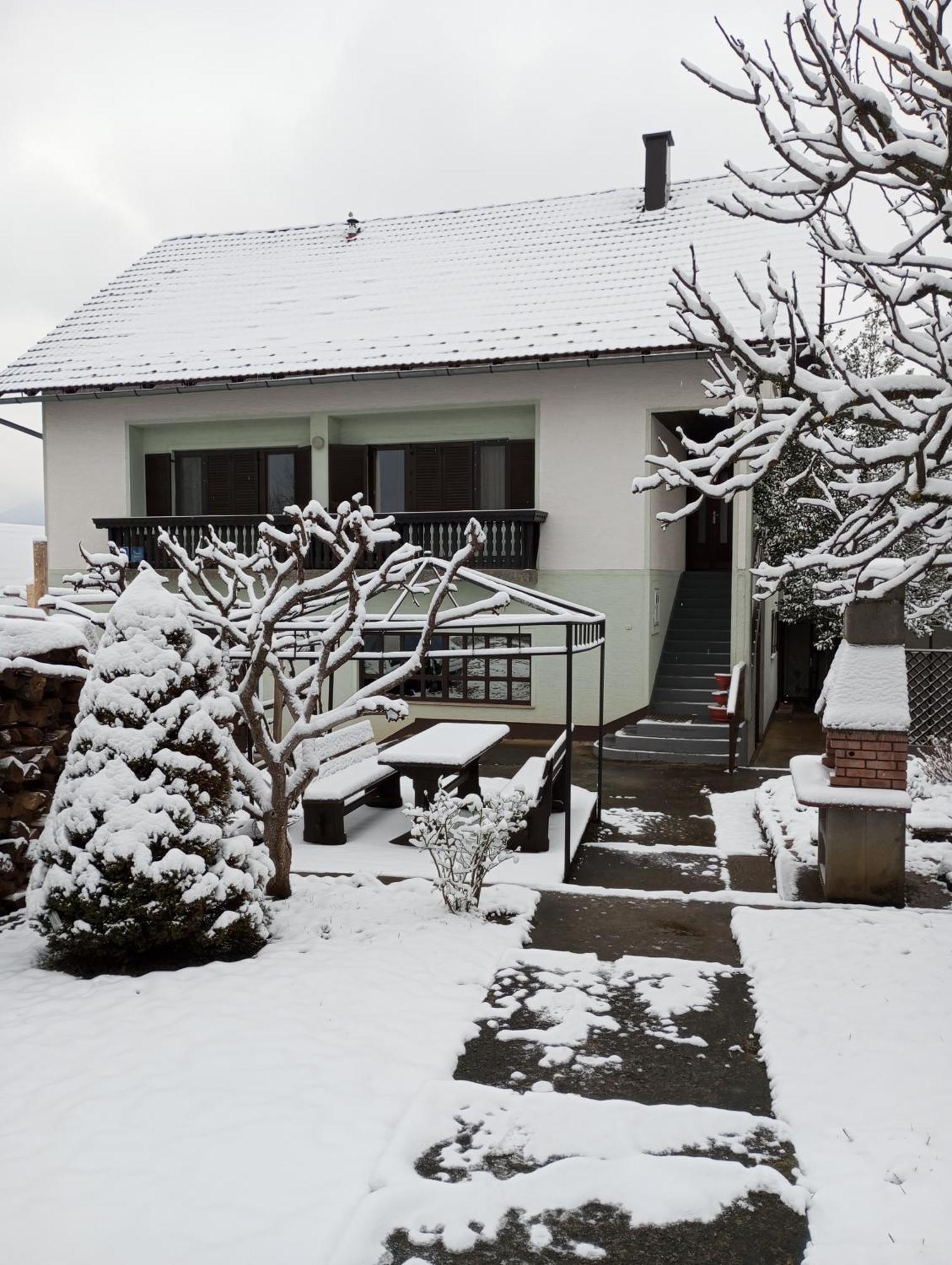 Guesthouse Pavlicic Dreznik Grad Екстер'єр фото