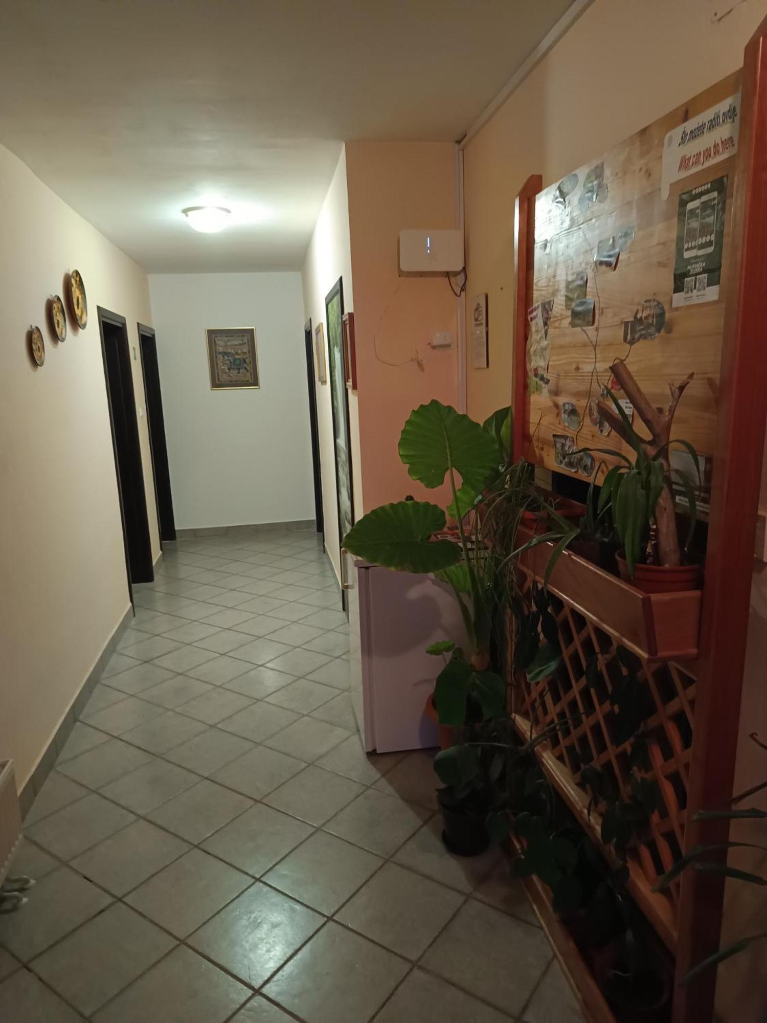 Guesthouse Pavlicic Dreznik Grad Екстер'єр фото