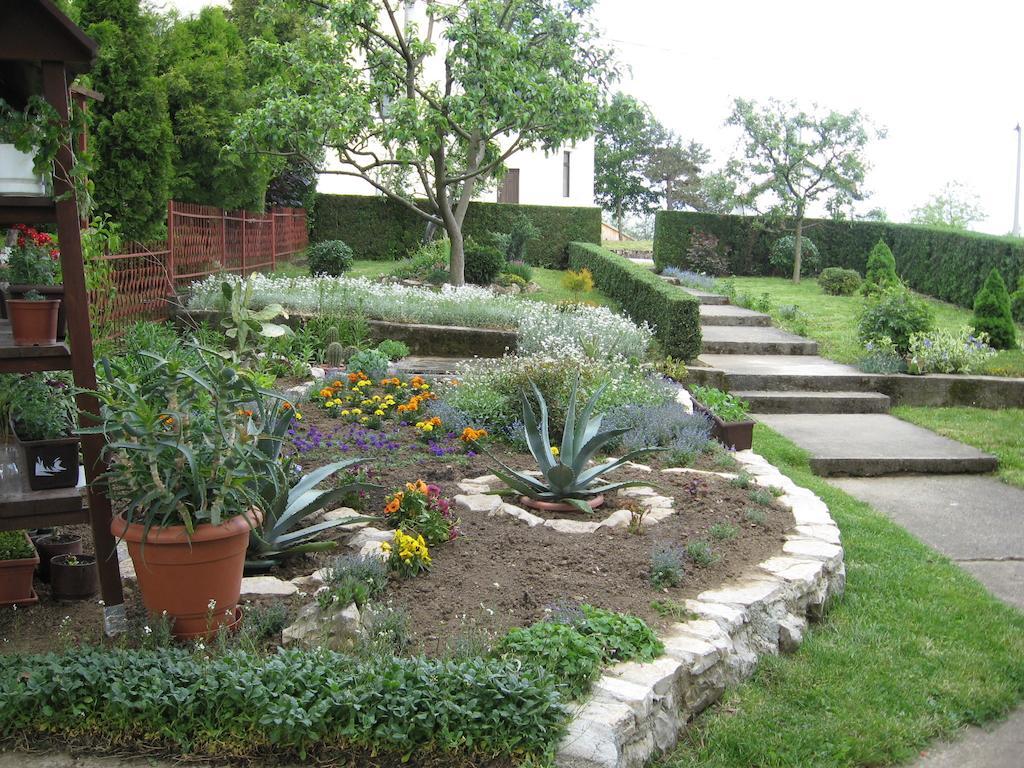 Guesthouse Pavlicic Dreznik Grad Екстер'єр фото