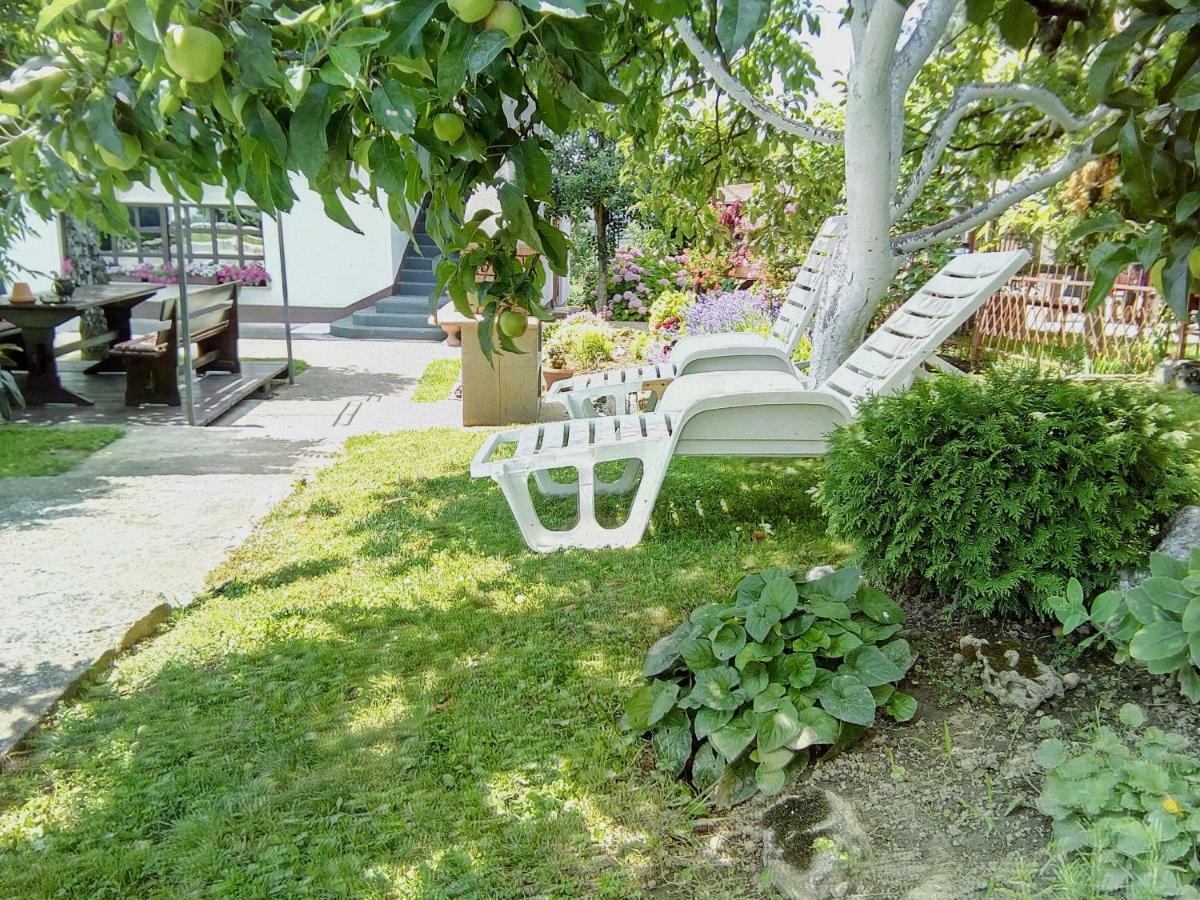 Guesthouse Pavlicic Dreznik Grad Екстер'єр фото