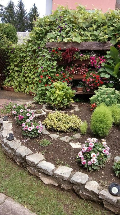 Guesthouse Pavlicic Dreznik Grad Екстер'єр фото