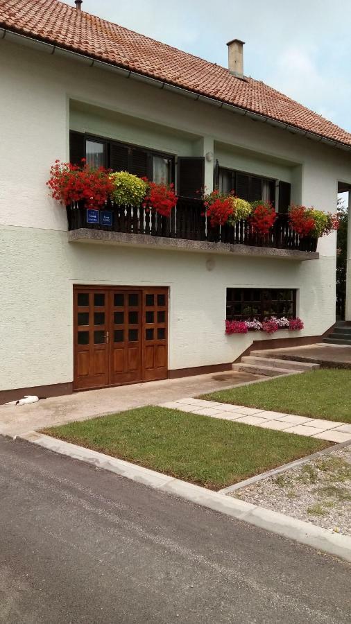Guesthouse Pavlicic Dreznik Grad Екстер'єр фото