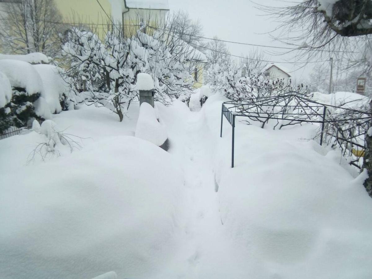 Guesthouse Pavlicic Dreznik Grad Екстер'єр фото